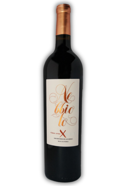 Nebbiolo_1200x1200